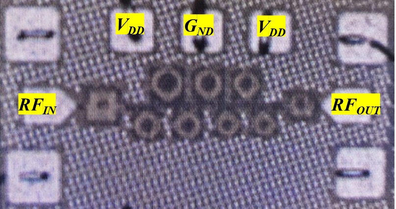 Chip 6